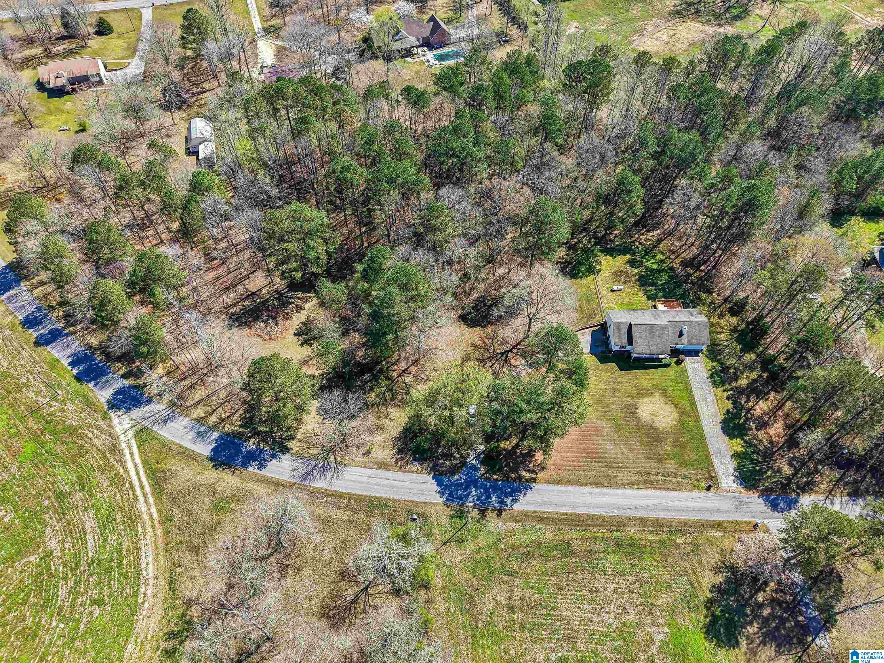 755 Beaver Ridge Drive Ashville, AL 35953 - Photo 37 of 39