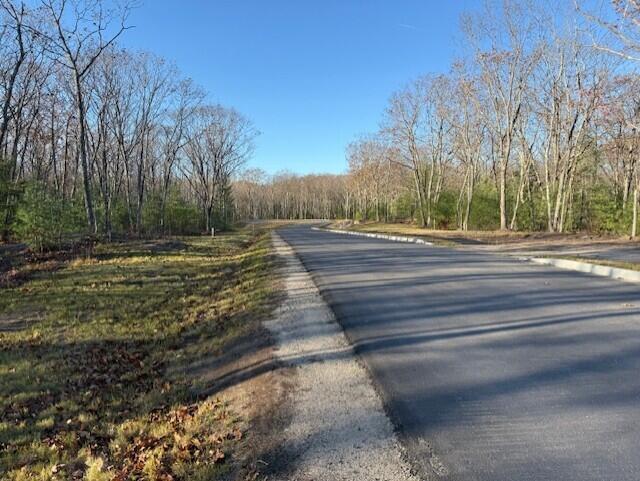 Lot 4 Prospect Reserve Way Kennebunkport, ME 04046 - Photo 4 of 13 Street