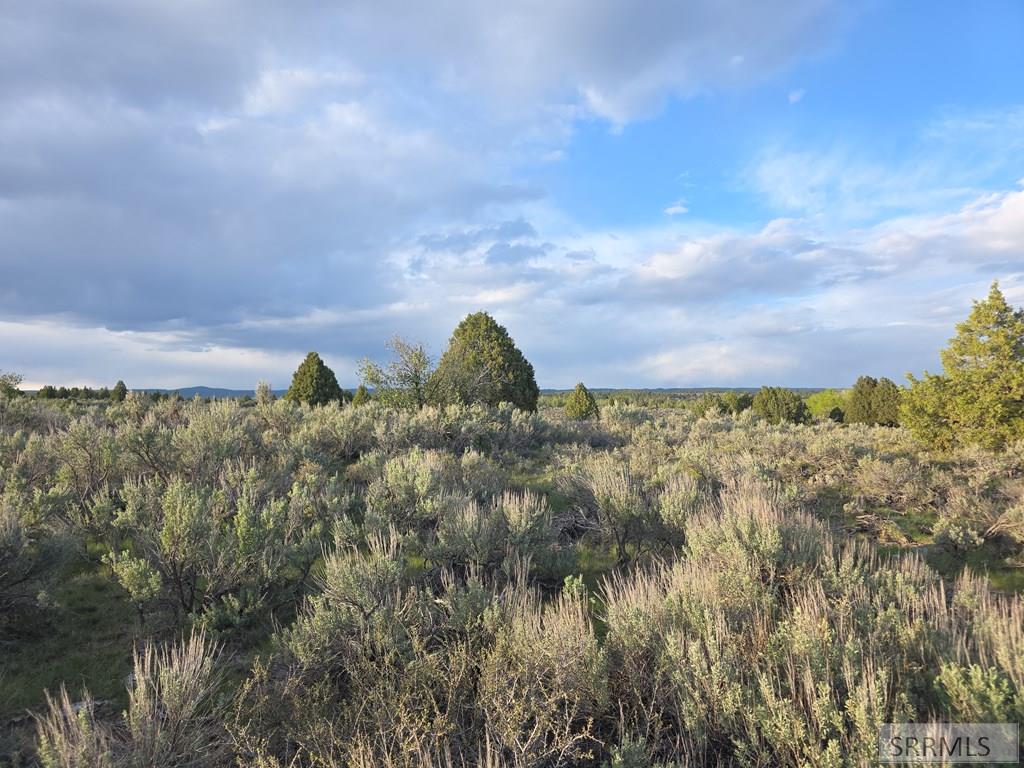 Tbd 40-ac Tbd 40-ac Arcadia Road Ashton, ID 83420 - Photo 35 of 43