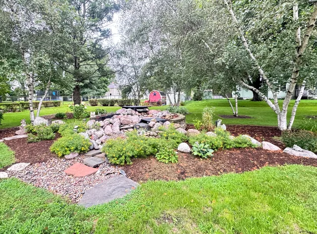 a view of a bunch of flowers and tree
