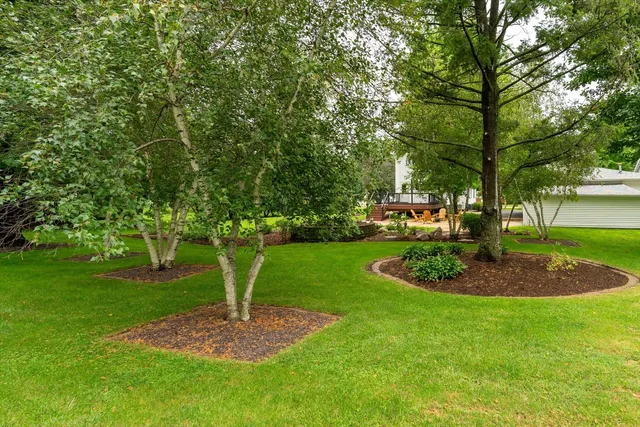 a view of a white house in front of a big yard with plants and large trees