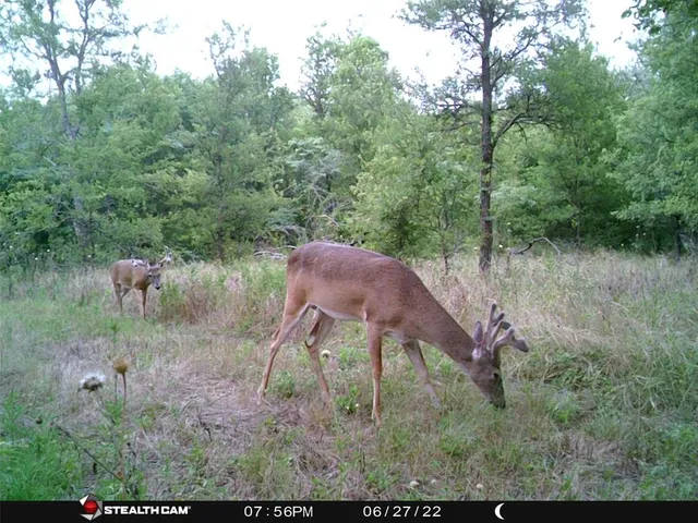 $220,000 | 141 County Road 2349, Richland, TX 76681