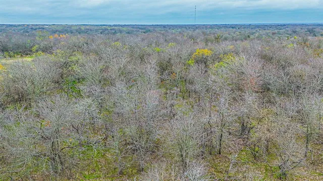 $220,000 | 141 County Road 2349, Richland, TX 76681