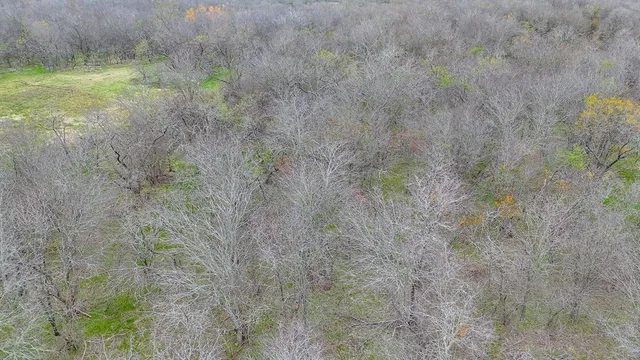 $220,000 | 141 County Road 2349, Richland, TX 76681