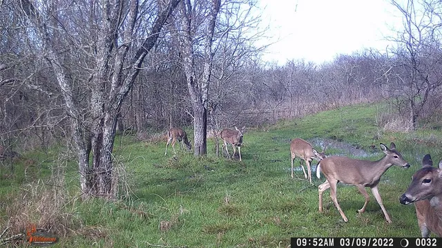 $220,000 | 141 County Road 2349, Richland, TX 76681