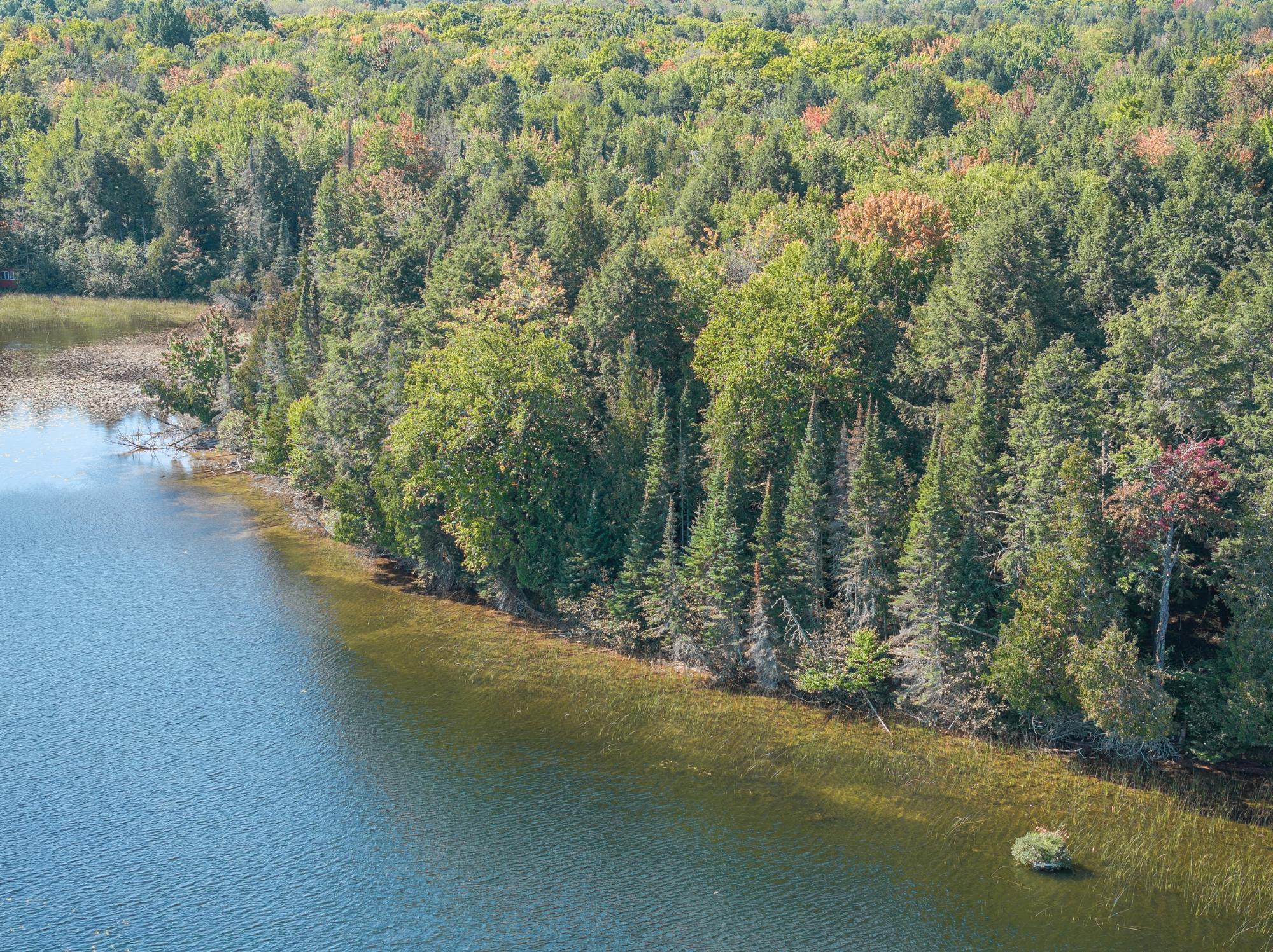 Off Off Duck Lake Road East Watersmeet, MI 49969 - Photo 14 of 20 Gallery Image 14