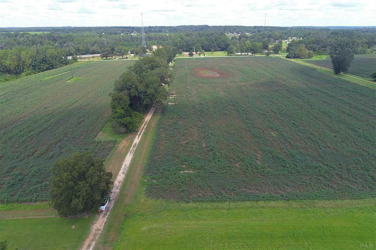 1034 Keego Road Brewton, AL 36426 - Photo 11 of 50
