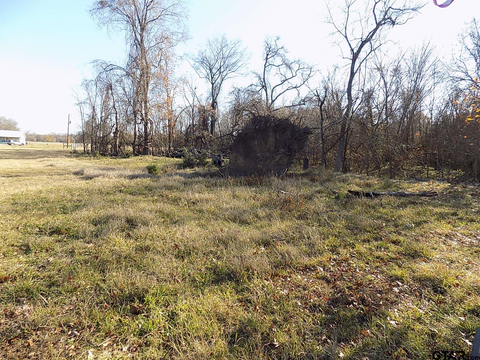 514 Point Tx 75472 Point, TX 75472 - Photo 11 of 28