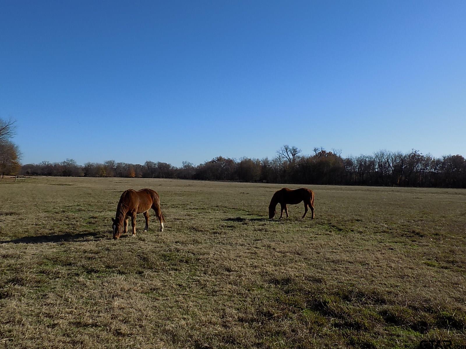 514 Point Tx 75472 Point, TX 75472 - Photo 19 of 28