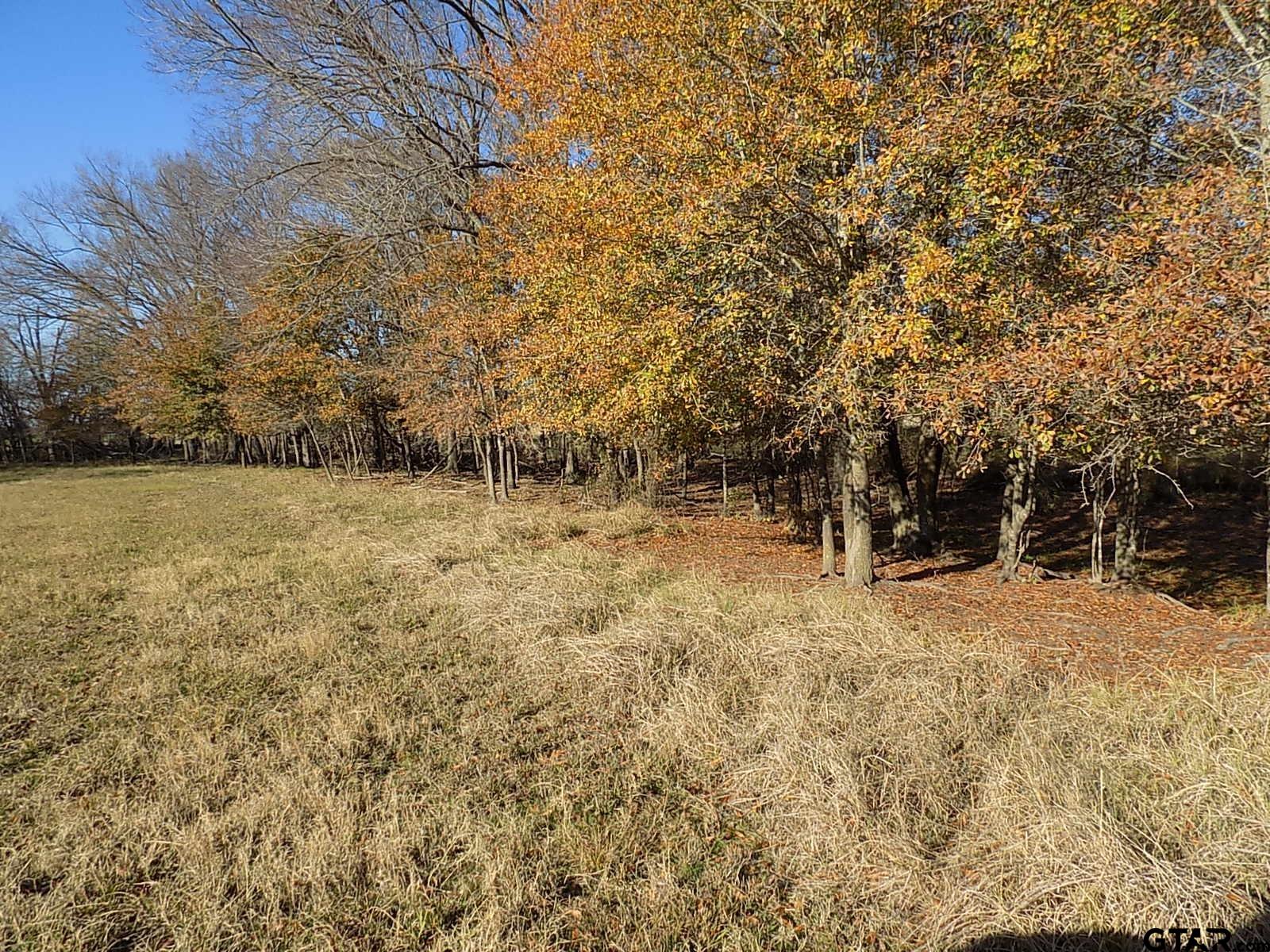 514 Point Tx 75472 Point, TX 75472 - Photo 24 of 28