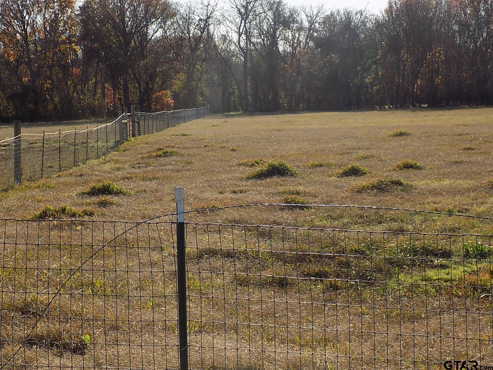 514 Point Tx 75472 Point, TX 75472 - Photo 28 of 28