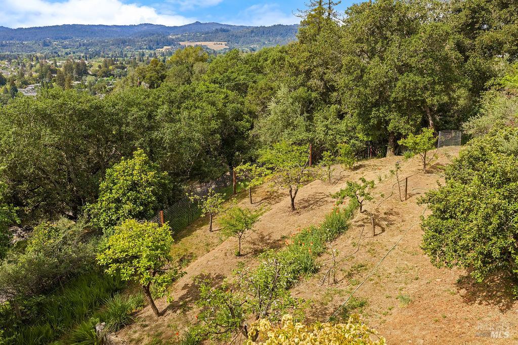 1212 North Fitch Mountain Road Healdsburg, CA 95448 - Photo 68 of 72