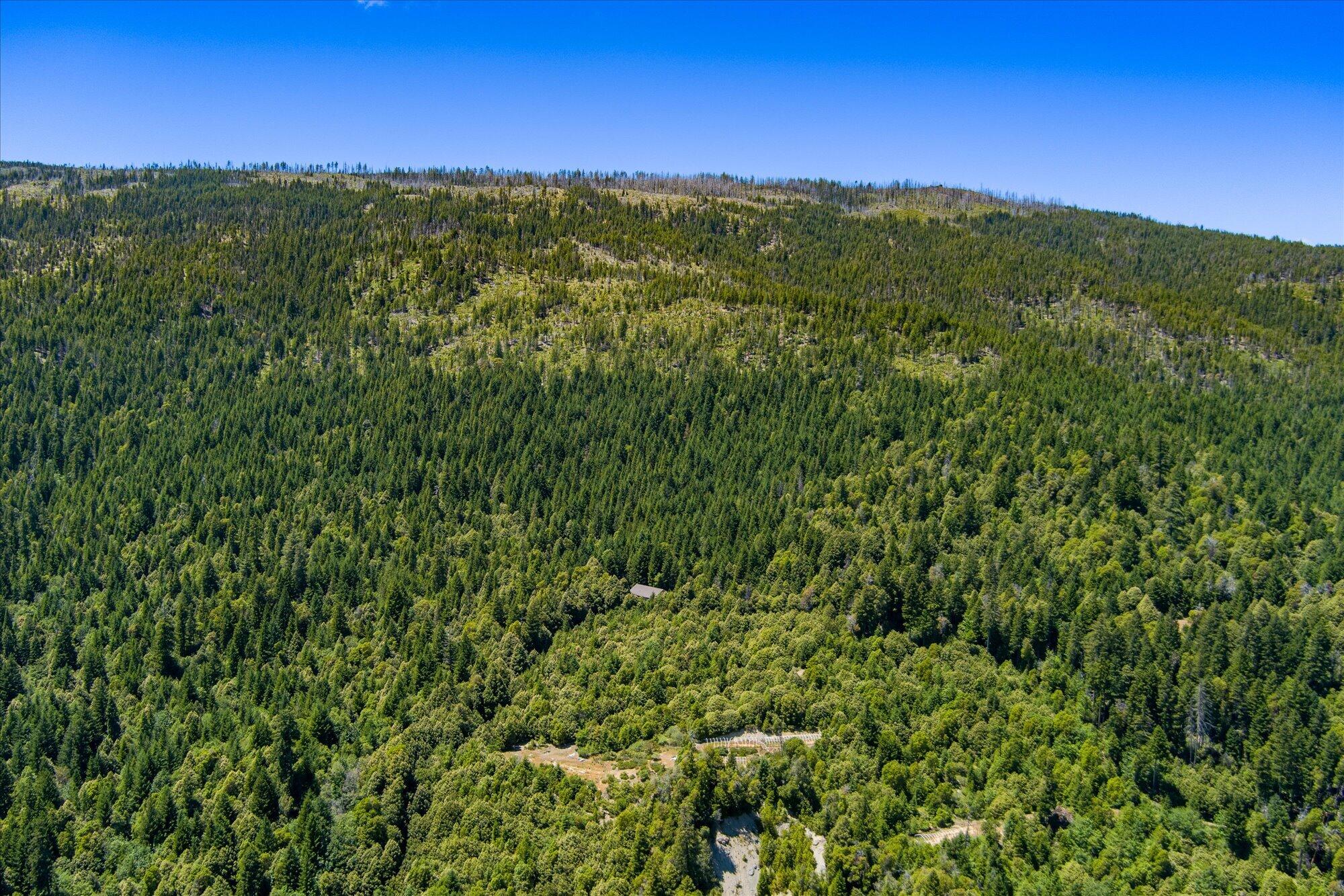 0 Forest Rte 4N20 Road Hayfork, CA 96041 - Photo 16 of 22
