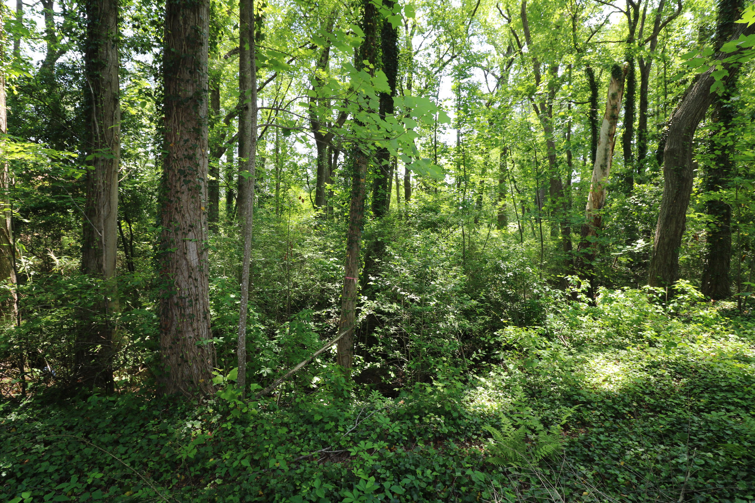 20 Pine Valley Road Pinehurst, NC 28374 - Photo 25 of 28 IMG_6644