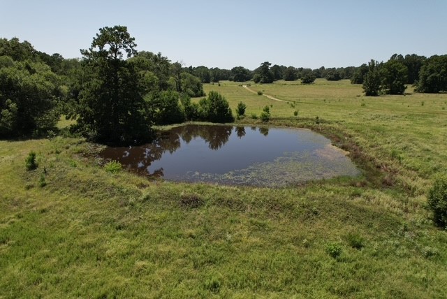 882 Jones Road New Waverly, TX 77358 - Photo 5 of 11 Gallery Image 5