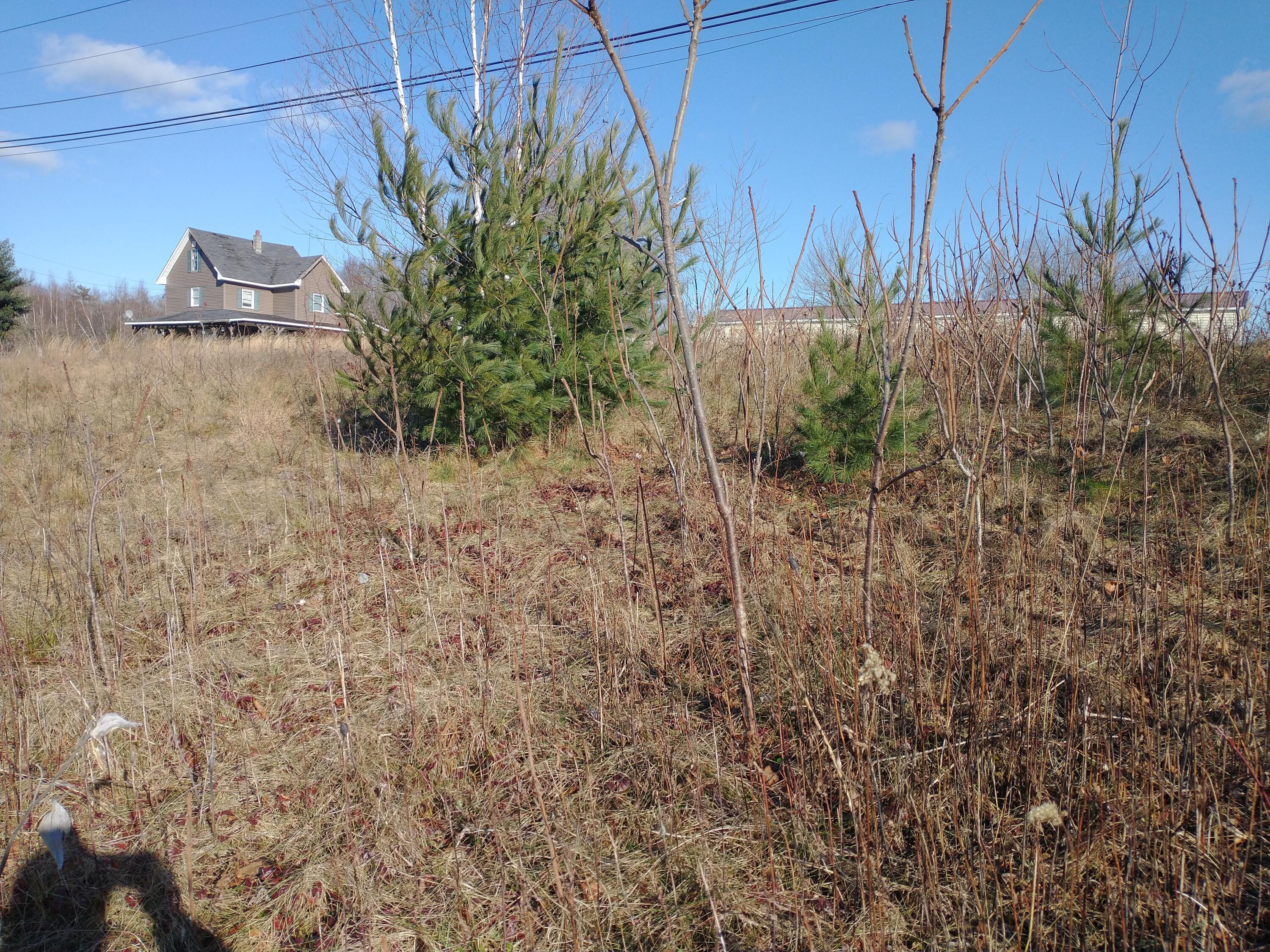 Tbd Water Street Howland, ME 04448 - Photo 15 of 22 IMG_20221204_111052471