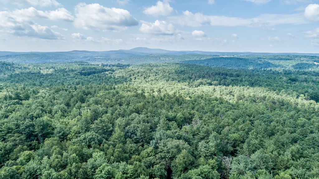 280 Sheldon Road Fitchburg, MA 01420 - Photo 9 of 9 an aerial view of houses covered in trees