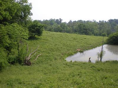 1717 Ballard Road Paint Lick, KY 40461 - Photo 18 of 49 Photo 18