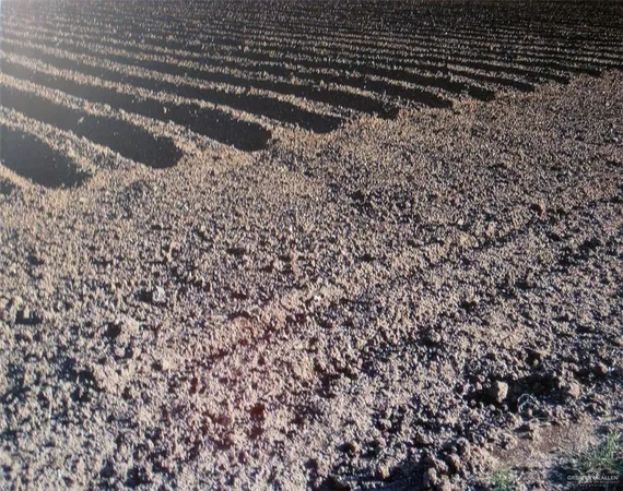 $749,900 | 107 East State Highway East, Donna, TX 78537