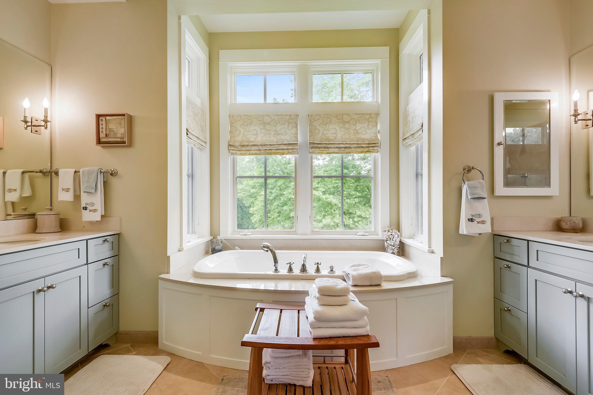 16026 Carroll Road Monkton, MD 21111 - Photo 23 of 85 Master Bath