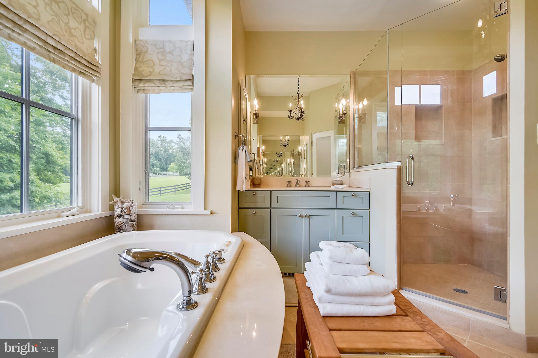 16026 Carroll Road Monkton, MD 21111 - Photo 24 of 85 Master Bath