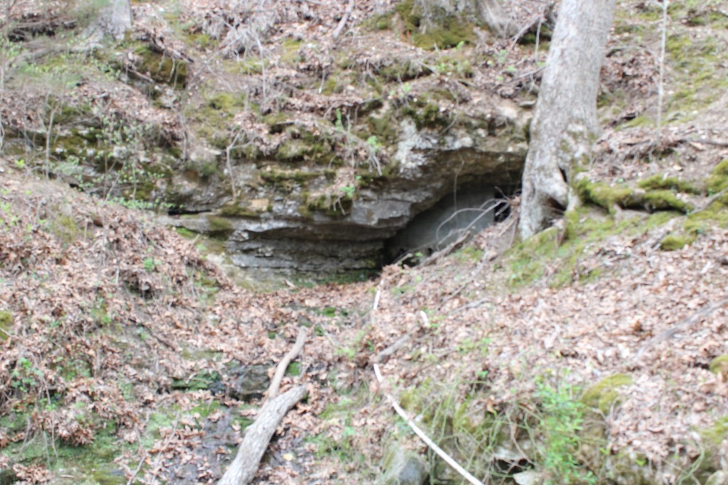 416 New Hope Road Marshall, AR 72650 - Photo 32 of 60 spring area under bluff