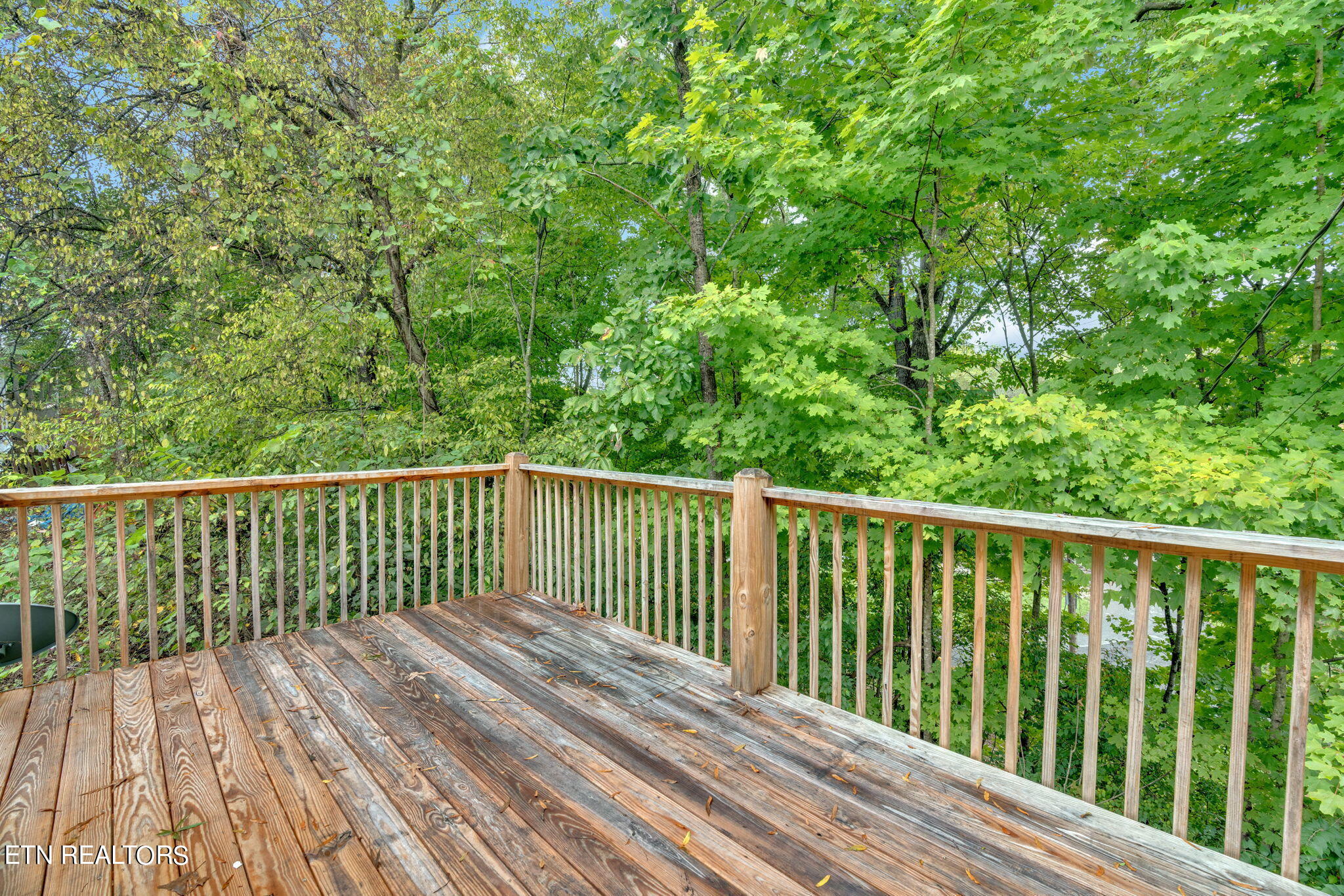 175 McNabb Street Newport, TN 37821 - Photo 20 of 22 22-web-or-mls-DSC06802