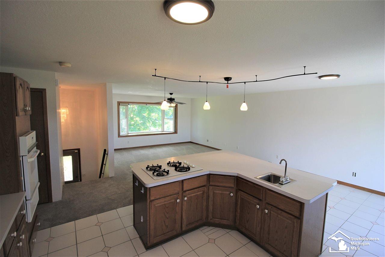 4848 Smith Road Ottawa Lake, MI 49267 - Photo 5 of 18 Gallery Image 5