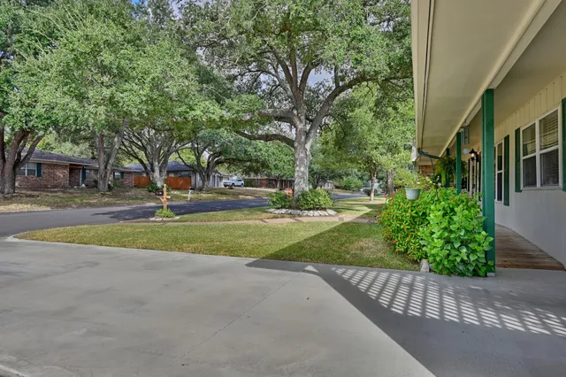 a view of garden with trees