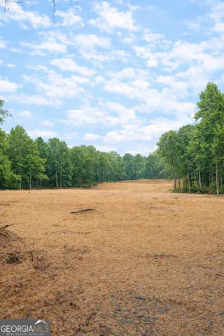 $265,000 | 0 Hwy 155 Tract 2 Stockbridge Ga 30281, Stockbridge, GA 30281