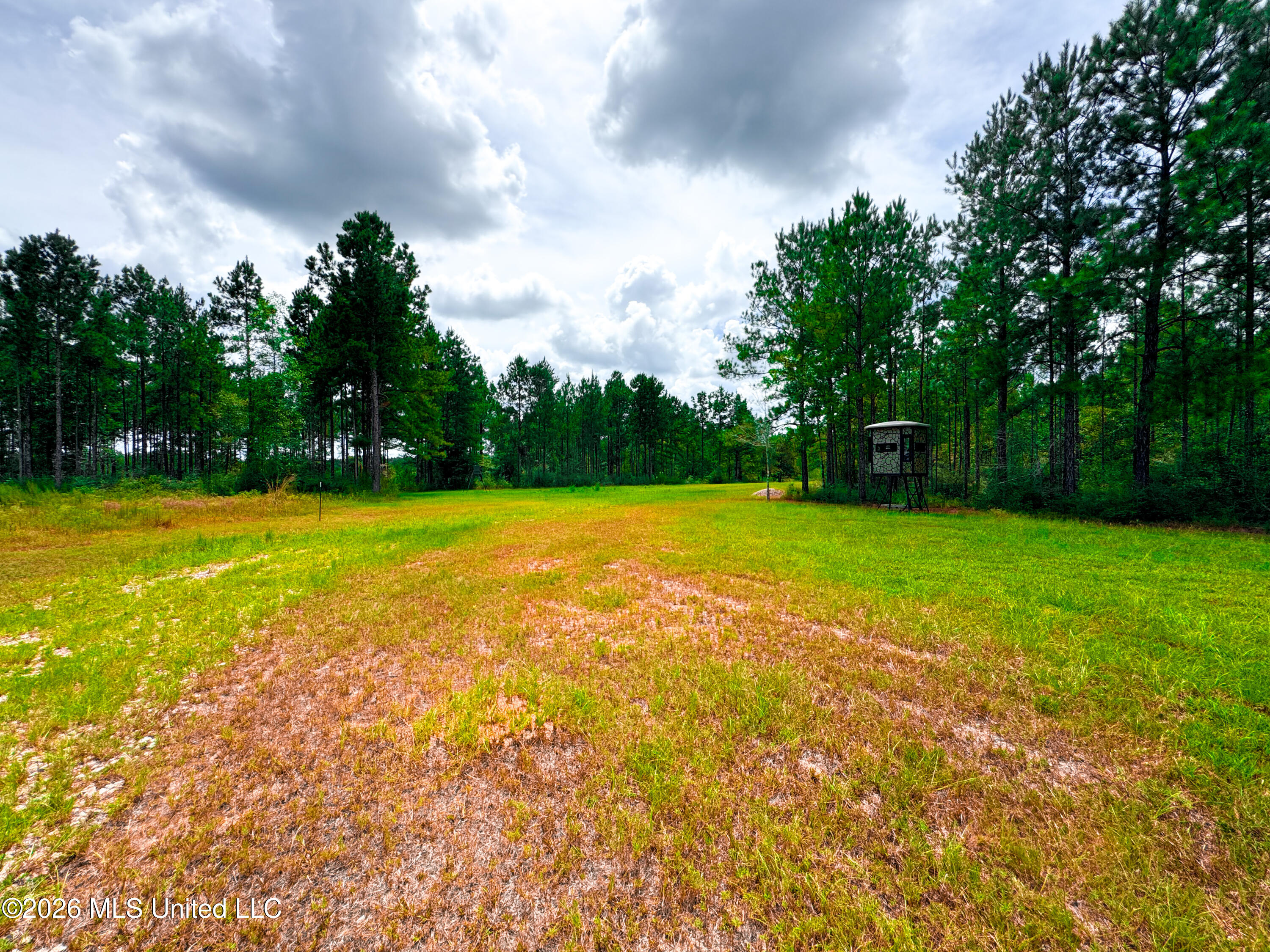 Wire Road Vancleave, MS 39565 - Photo 24 of 26 IMG_9990