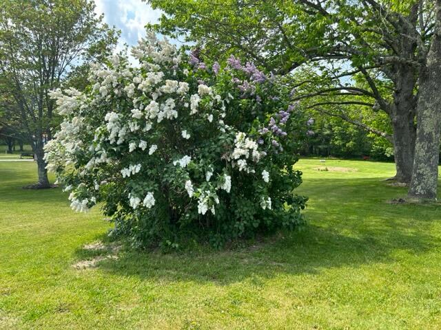 382 Billings Road Hermon, ME 04401 - Photo 10 of 27 IMG_4607