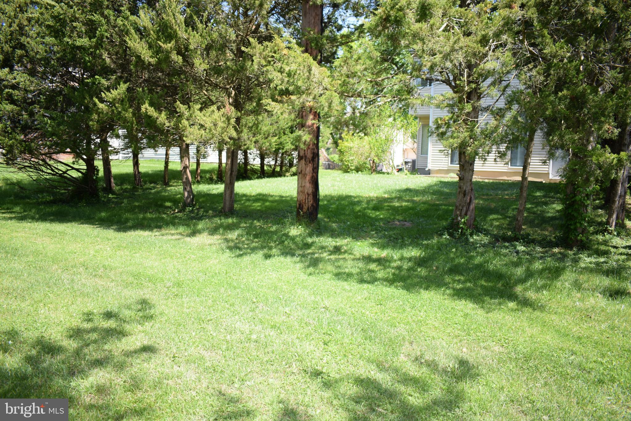 69 Allison Road Hightstown, NJ 08520 - Photo 33 of 34 Tree line and additional yard beyond