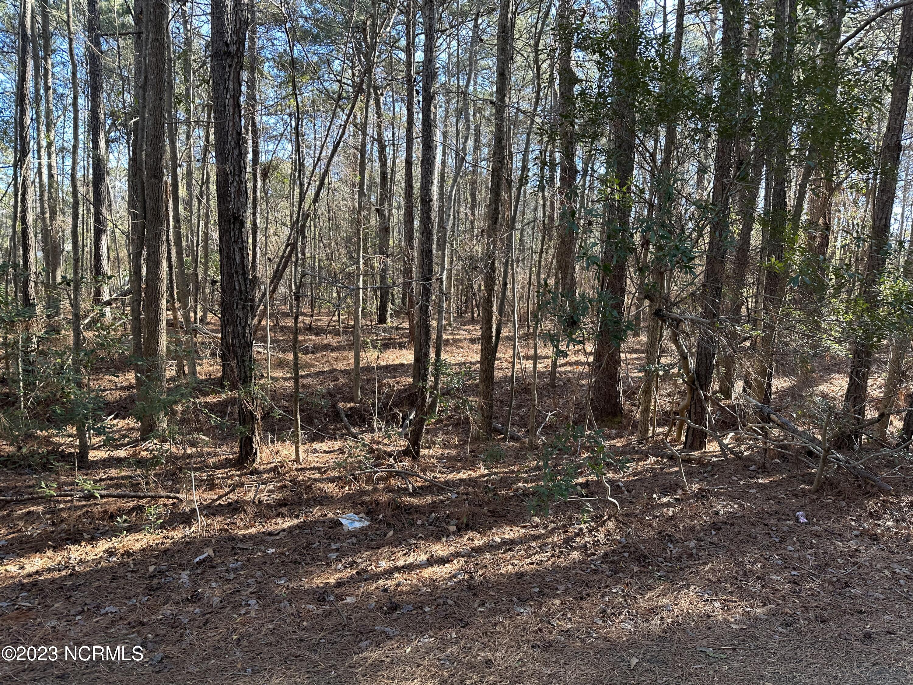 73 Williamsburg Road Kinston, NC 28504 - Photo 1 of 1 Wooded Lot