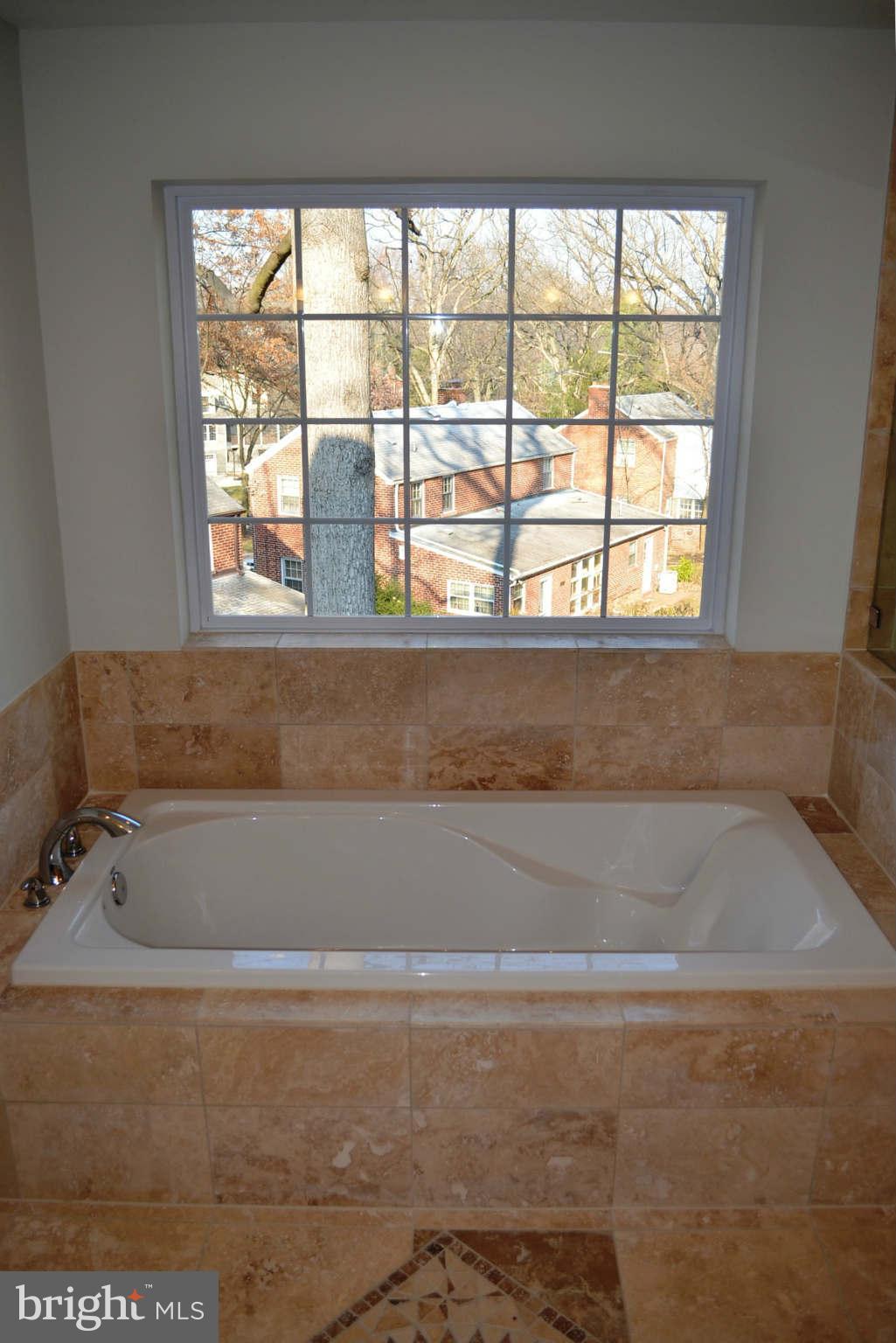 9931 Woodburn Road Silver Spring, MD 20901 - Photo 15 of 27 Bath (Master) Soaking Tub