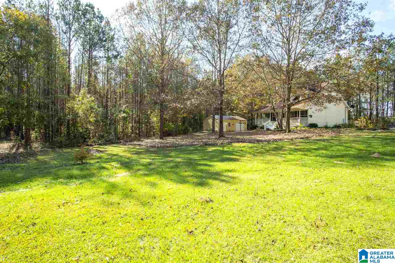 3787 Aarkar Road Brierfield, AL 35035 - Photo 4 of 36