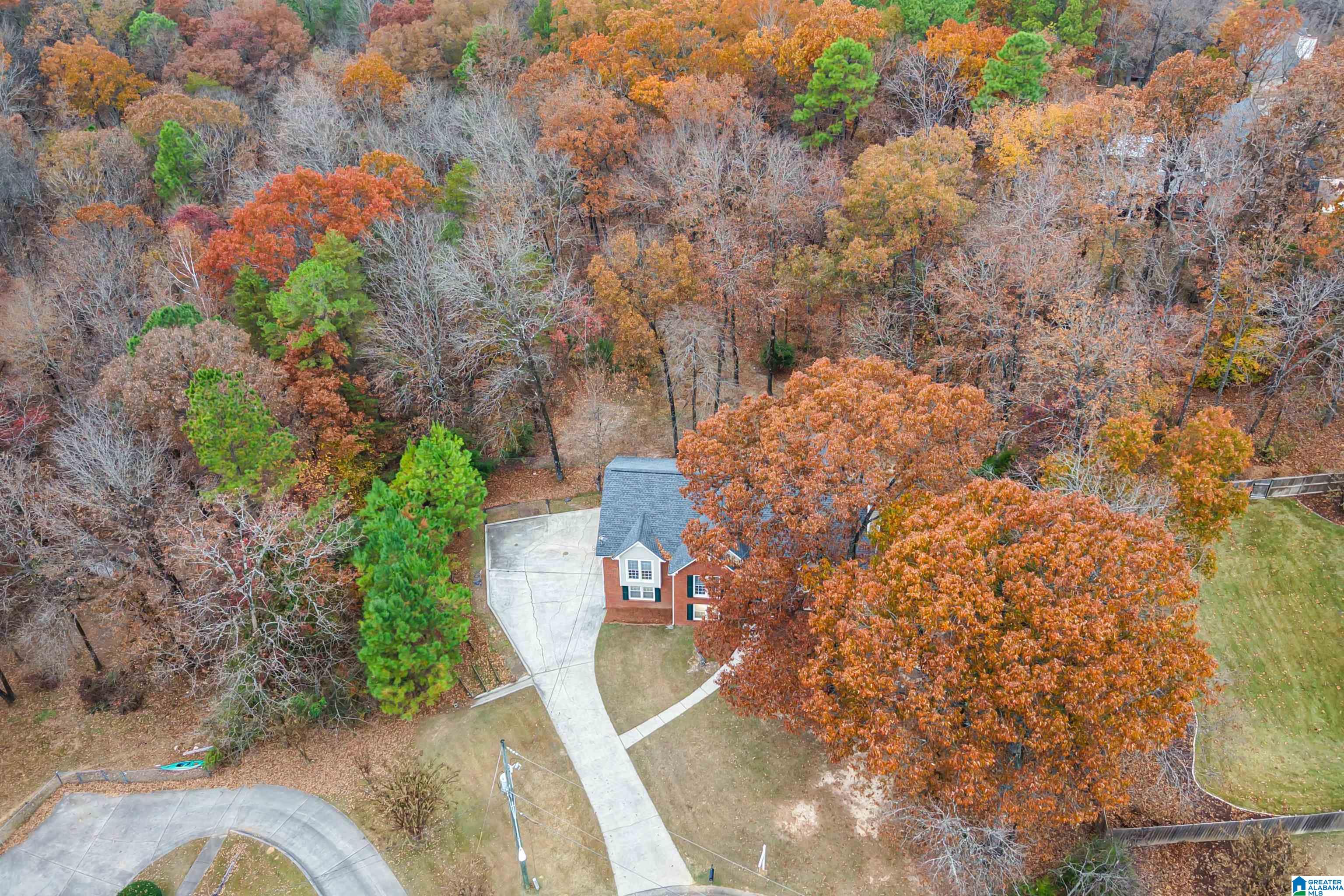 710 Forest Hills Trace Alabaster, AL 35007 - Photo 44 of 45