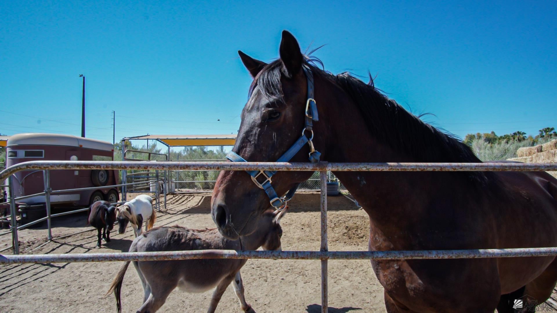 8671 Bronco Road Yuma, AZ 85365 - Photo 30 of 36 Gallery Image 30