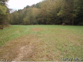0 Bunnells Run Road Pennsboro, WV 26415 - Photo 2 of 6 Gallery Image 2