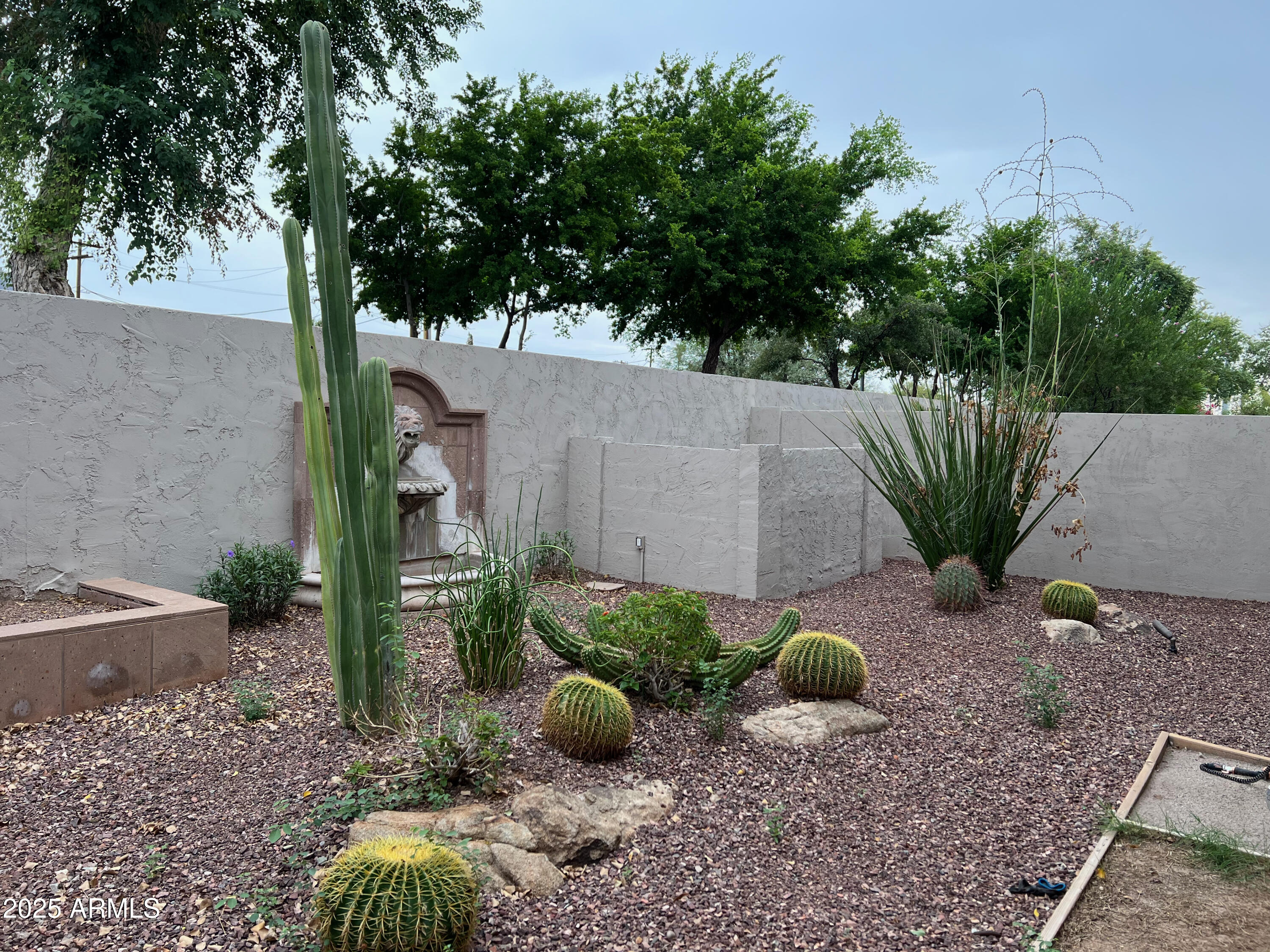 8131 North 13th Way Phoenix, AZ 85020 - Photo 19 of 25 a view of a garden filled with plants and large trees