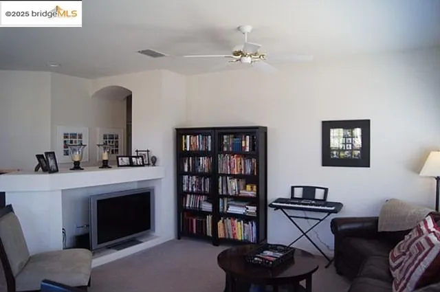 a living room with furniture a bookshelf and a fireplace