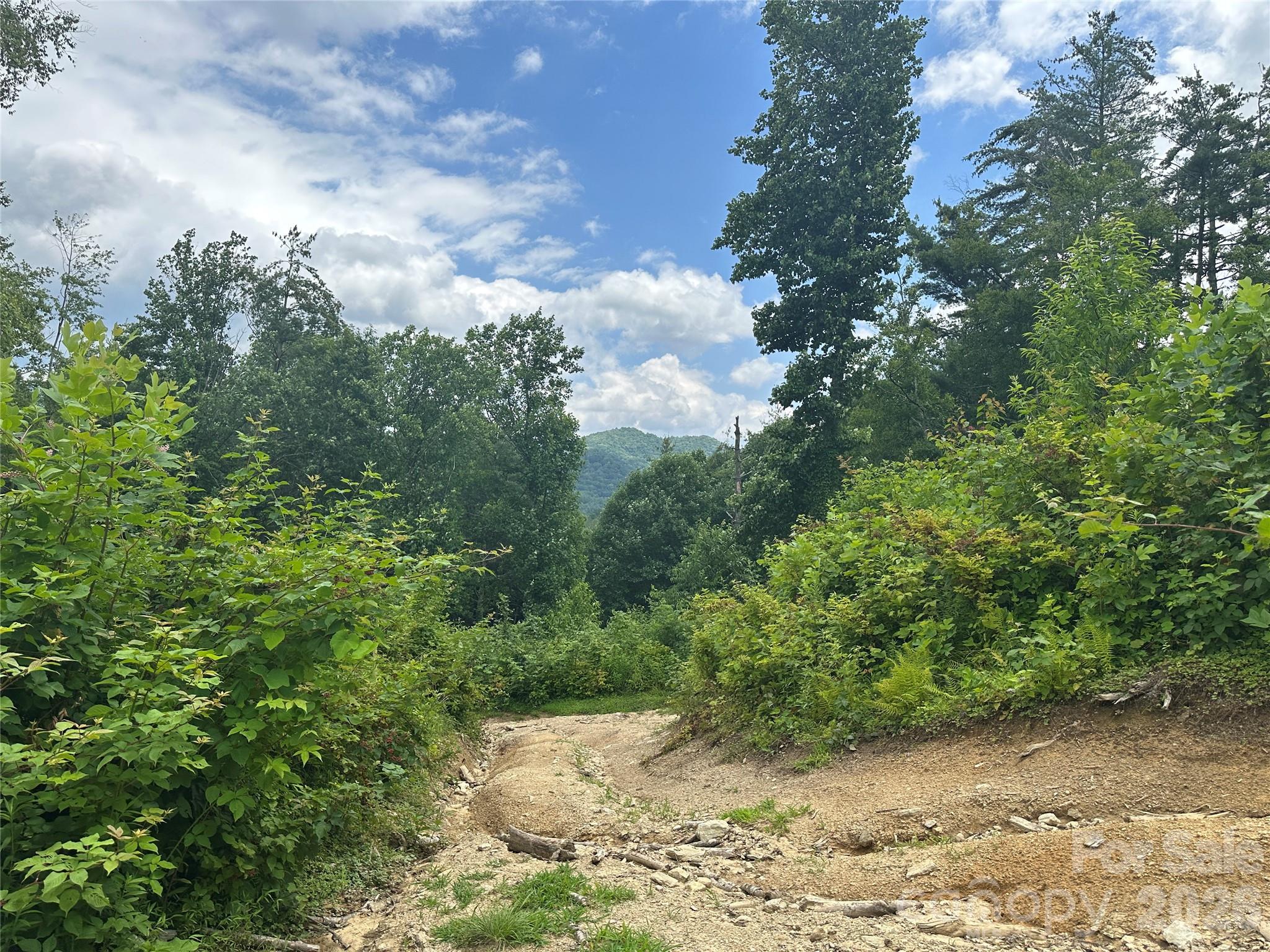 3606 Highway 194 Sugar Grove, NC 28679 - Photo 12 of 48 a view of a pathway both side of yard