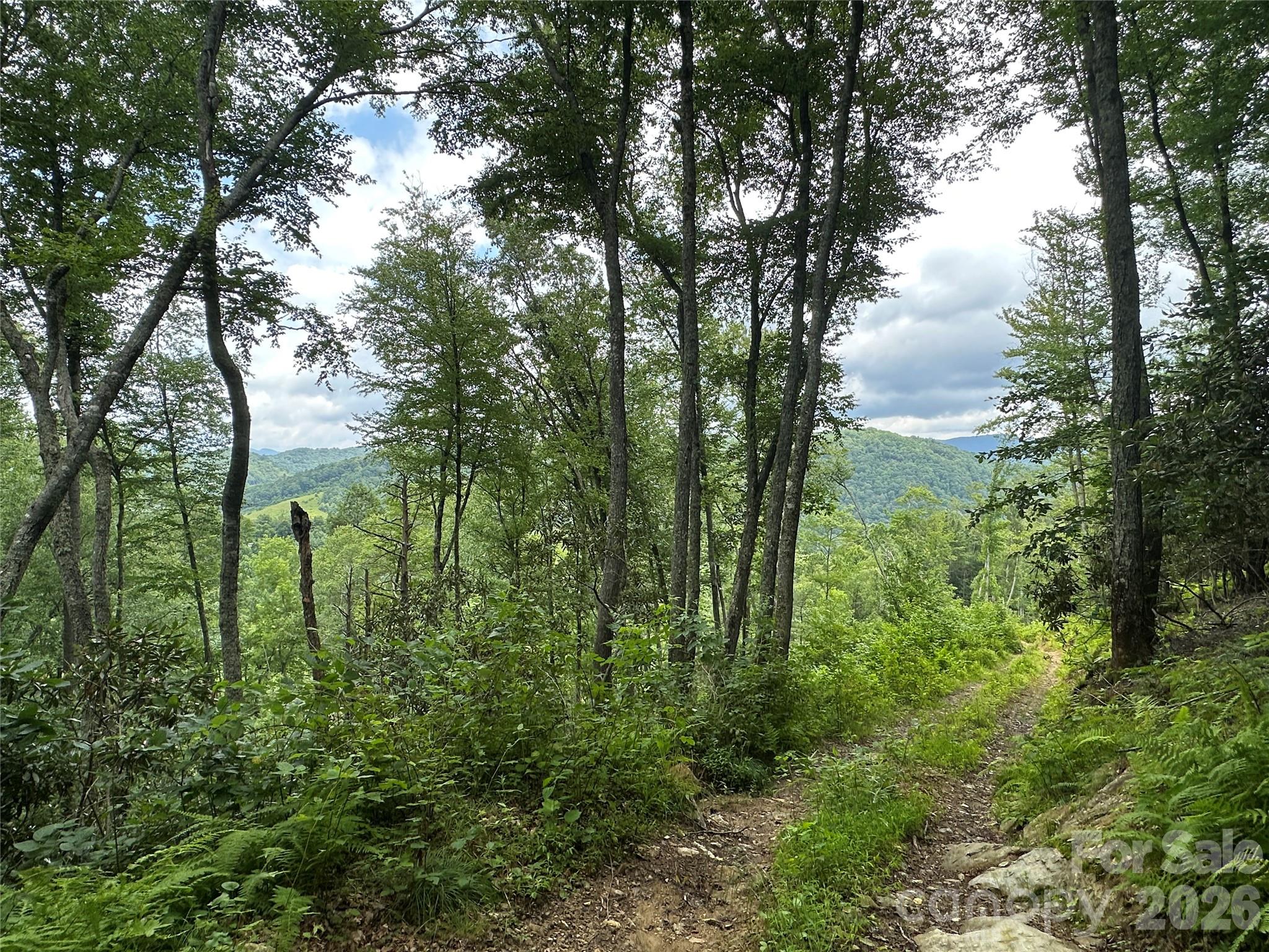 3606 Highway 194 Sugar Grove, NC 28679 - Photo 22 of 48 a view of a garden