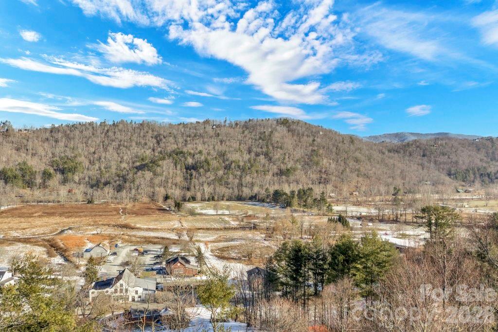 3606 Highway 194 Sugar Grove, NC 28679 - Photo 26 of 48 a view of a yard with an outdoor space