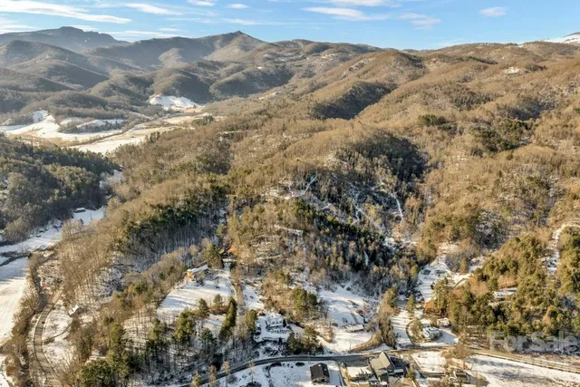 a big yard with lots of green space and deers