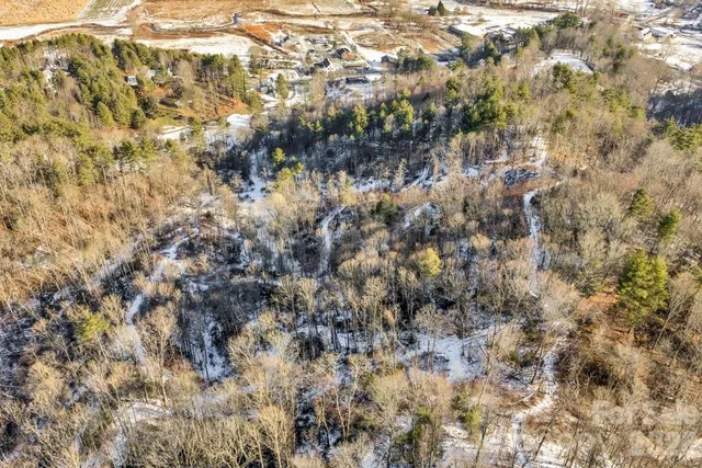 a view of a pathway both side of yard