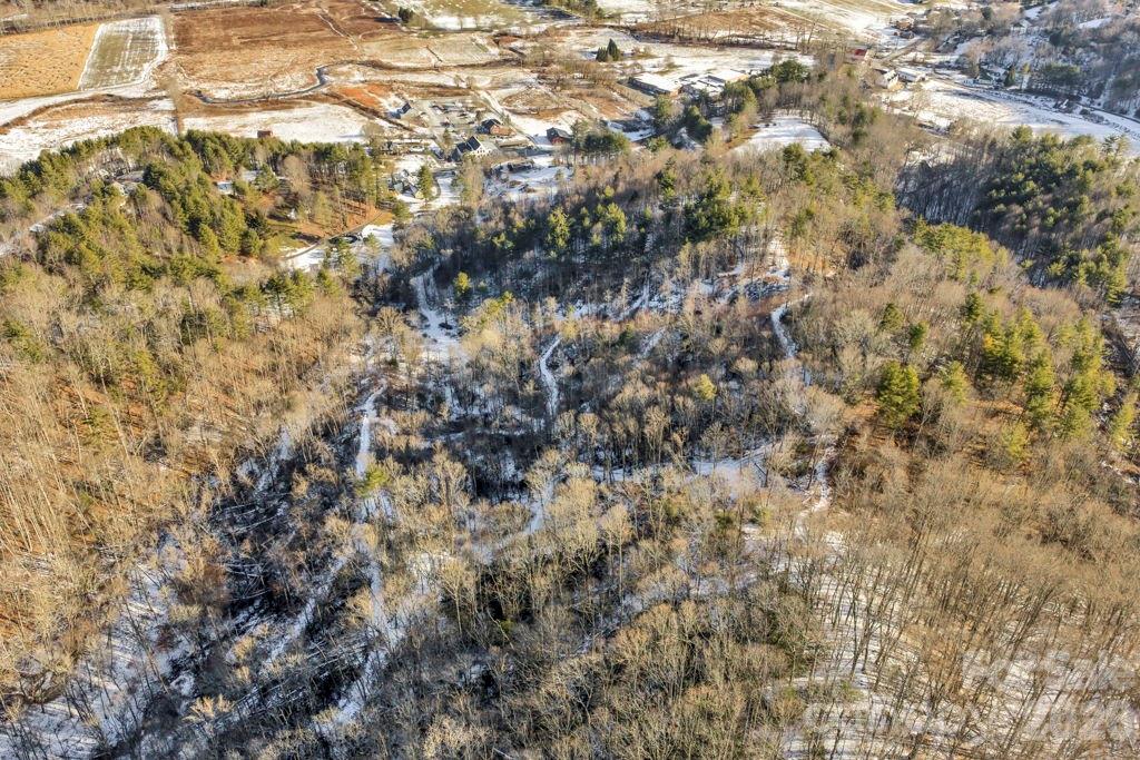 3606 Highway 194 Sugar Grove, NC 28679 - Photo 8 of 48 a view of a yard of a house