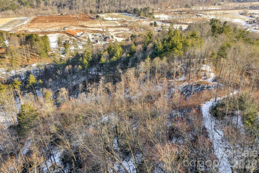 3606 Highway 194 Sugar Grove, NC 28679 - Photo 9 of 48