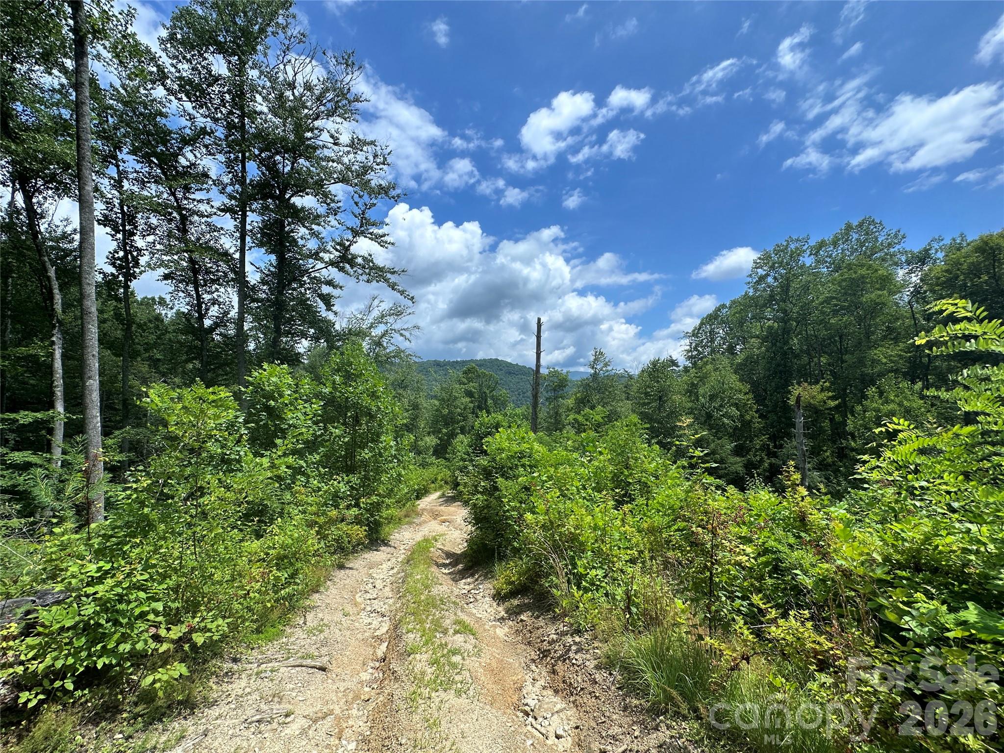3606 Highway 194 Sugar Grove, NC 28679 - Photo 10 of 48 a view of a city with lots of bushes