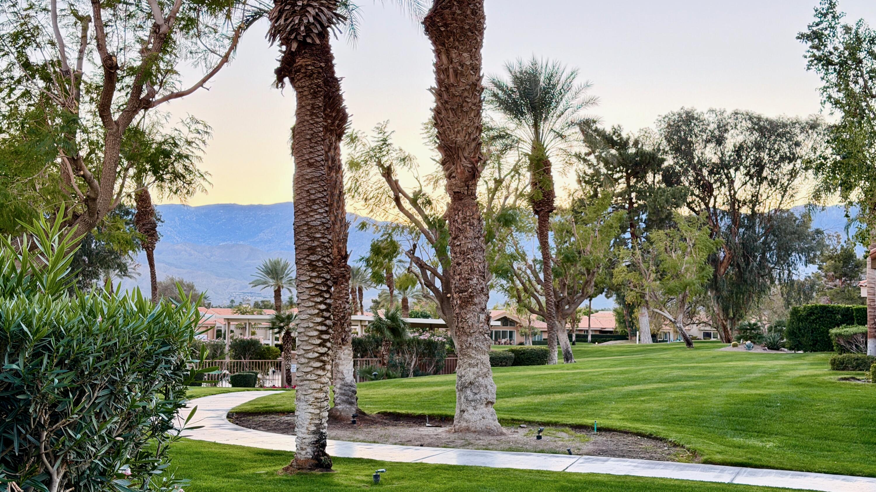 59 Oak Tree Drive Rancho Mirage, CA 92270 - Photo 20 of 22 a view of a yard with palm trees